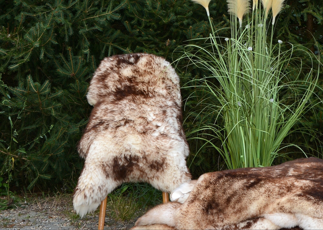 Abverkauf Sonderposten Mufflon Lammfell (öko)
